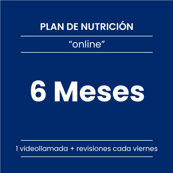 Plan de nutrición ONLINE- 6 meses